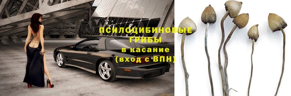 эйфоретик Алексин