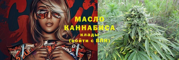 молекула духа Арсеньев