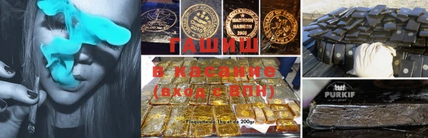гашик Алексеевка