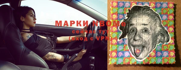 молекула духа Арсеньев