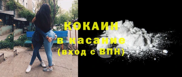 молекула духа Арсеньев